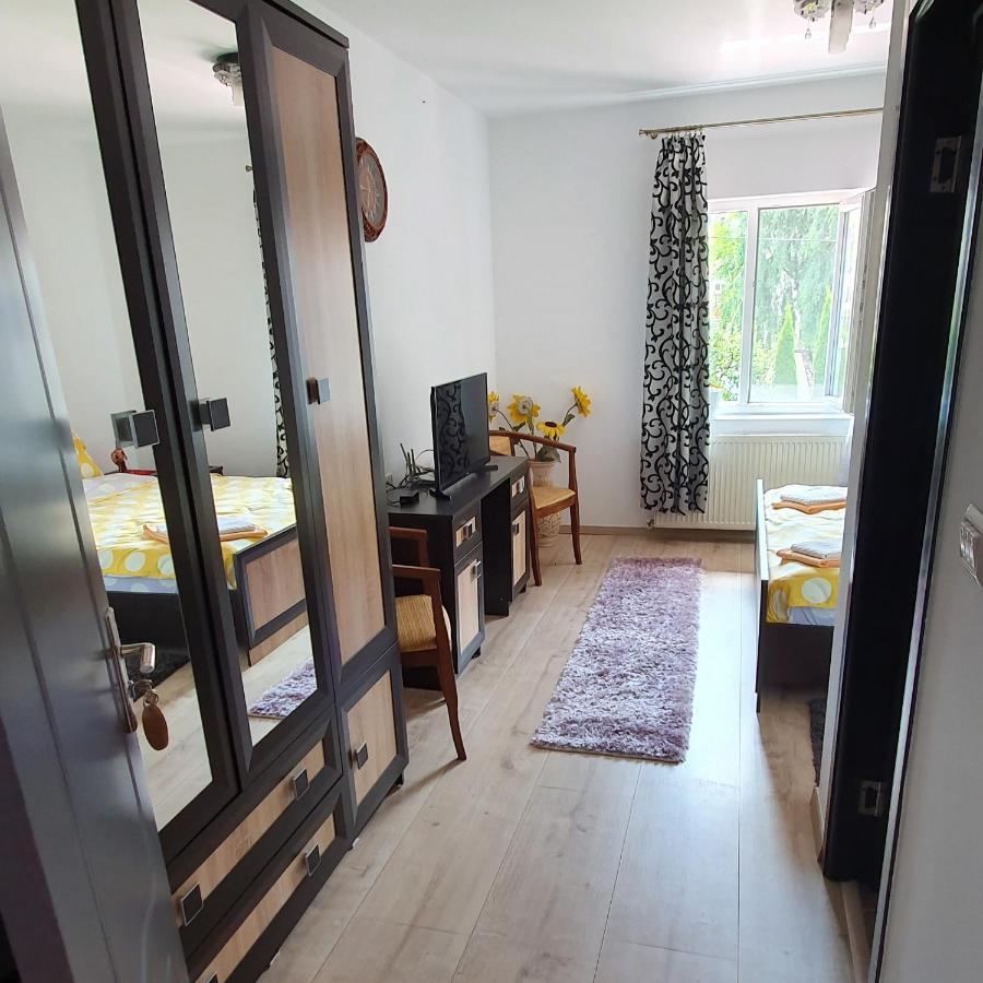 Casa Gusa Borşa エクステリア 写真
